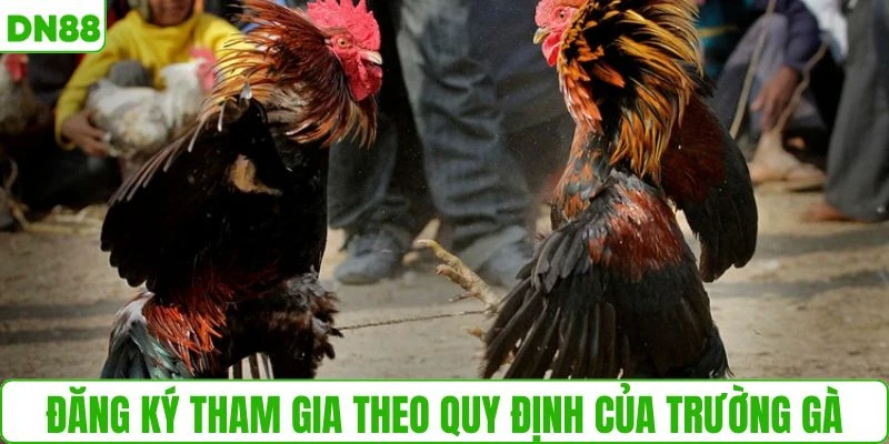 Đăng ký tham gia theo quy định của trường gà